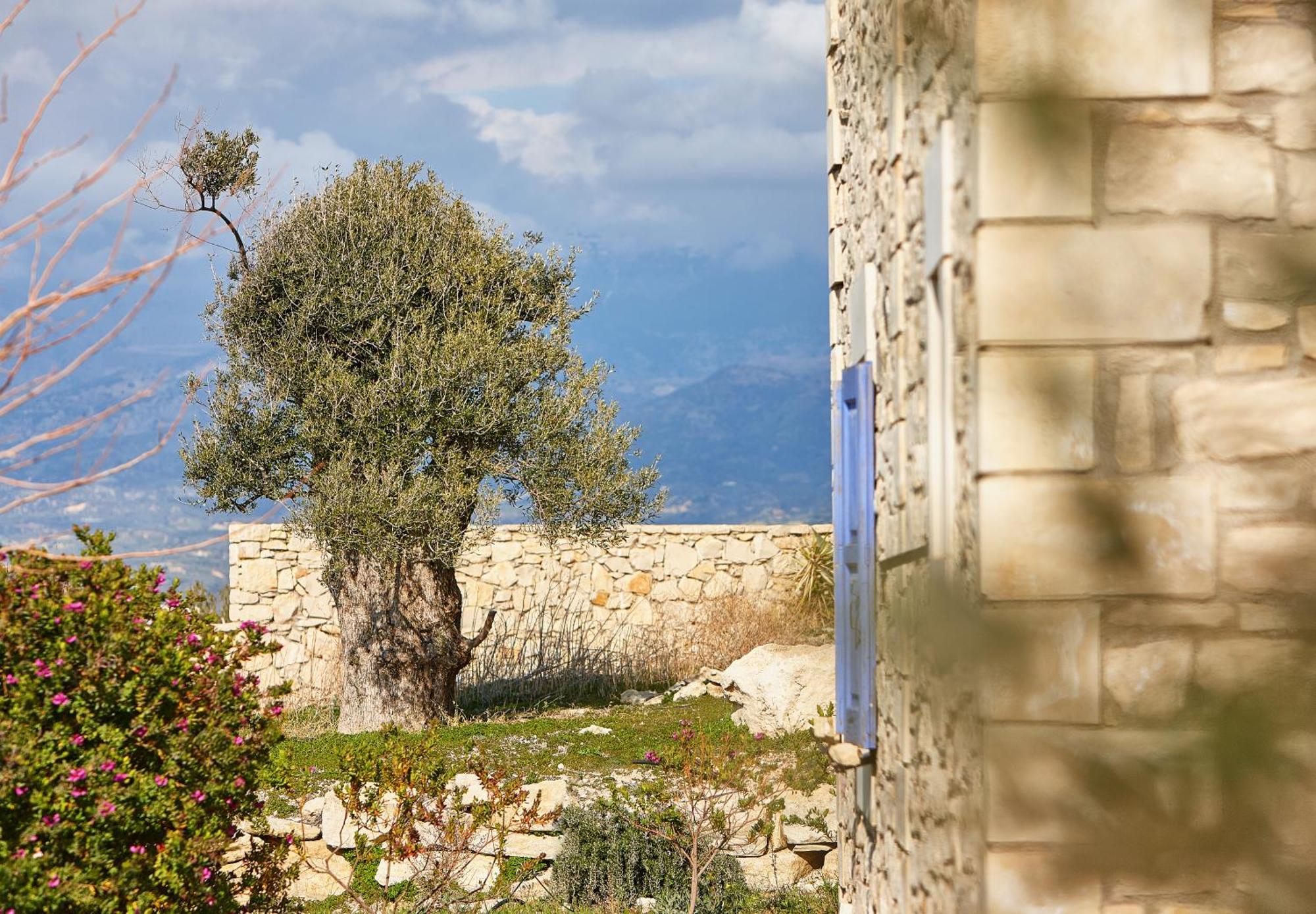 Orelia Cretan Deluxe Apartments Kamilari Exterior foto